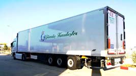 Frigo Taşıma